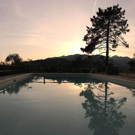 Agriturismo Il Pino San Martino in Freddana Exterior photo