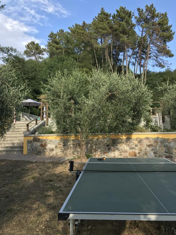 Agriturismo Il Pino San Martino in Freddana Exterior photo