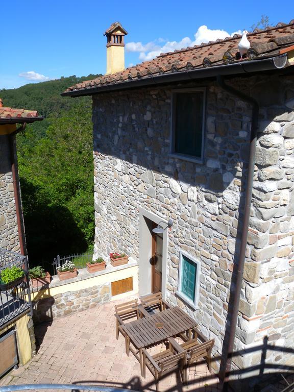 Agriturismo Il Pino San Martino in Freddana Exterior photo