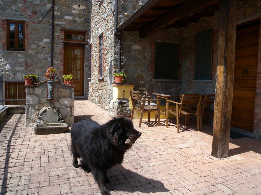 Agriturismo Il Pino San Martino in Freddana Exterior photo