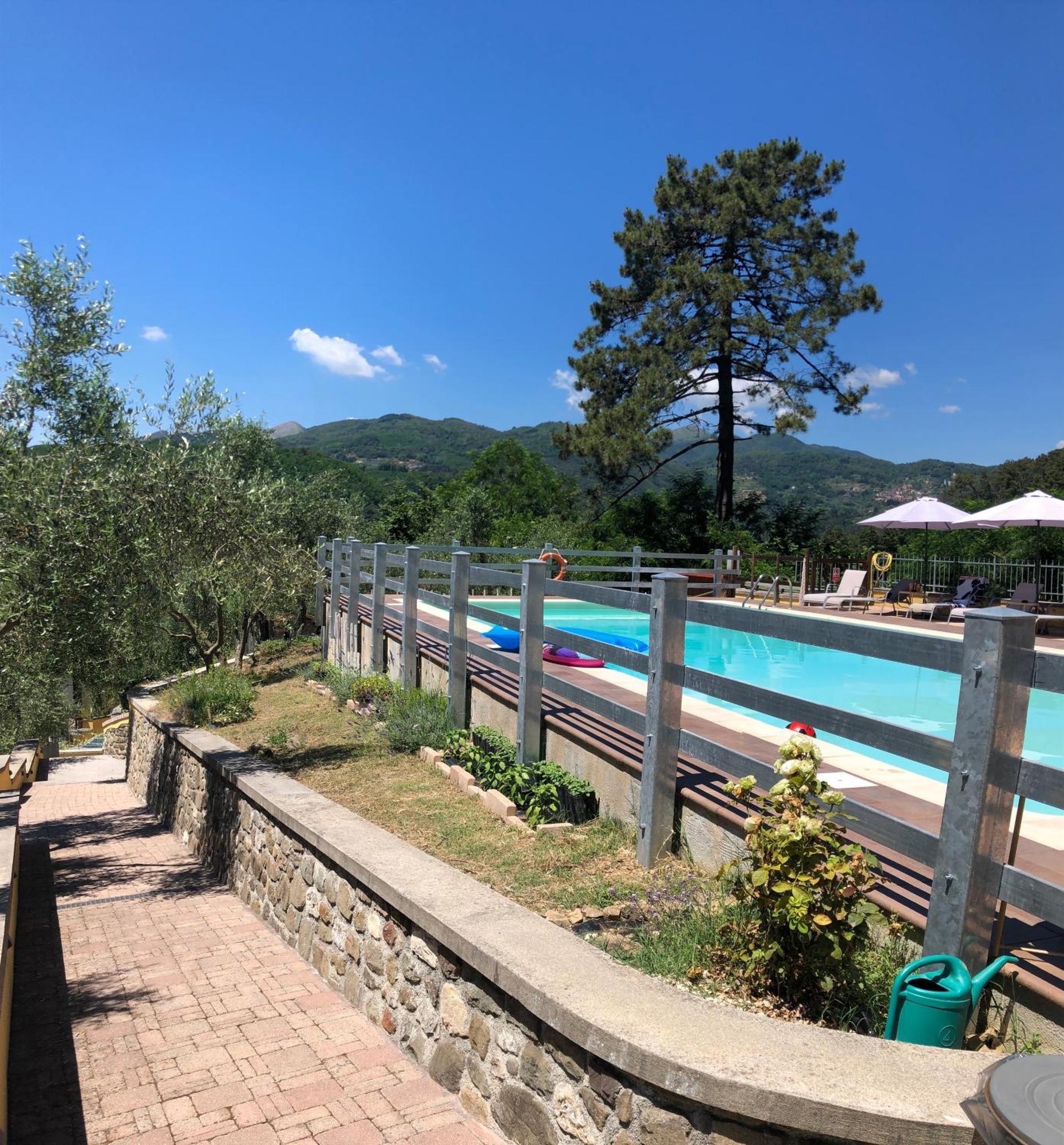 Agriturismo Il Pino San Martino in Freddana Exterior photo